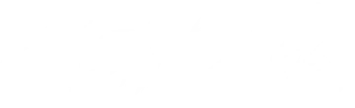 CasinoGo kasino logo